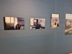 Werk uit de tentoonstelling Jonge Honden